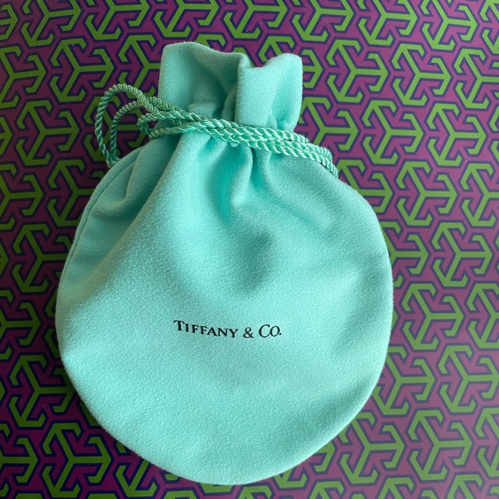 Big Tiffany and Co Drawstring Pouch